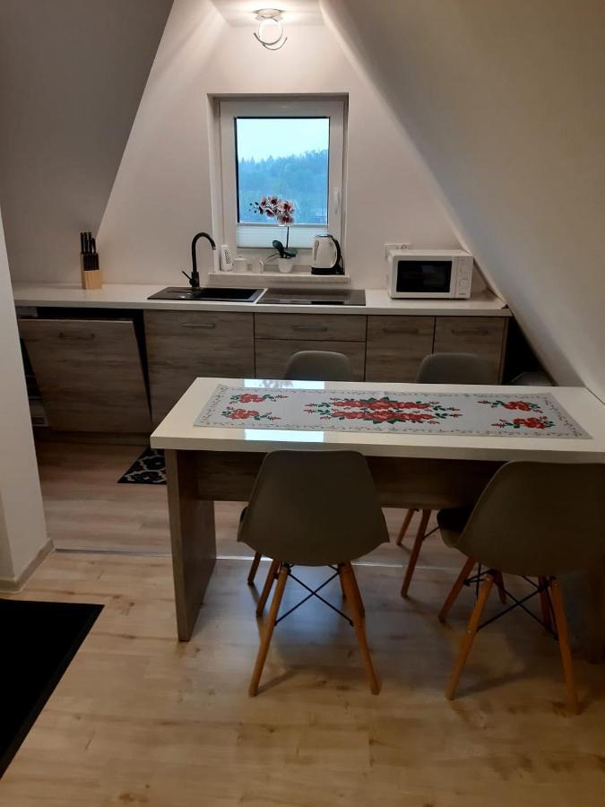 Apartamenty Z Widokiem 扎科帕内 外观 照片