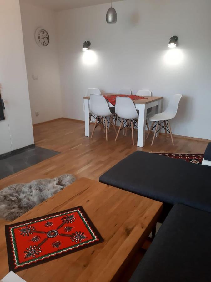 Apartamenty Z Widokiem 扎科帕内 外观 照片