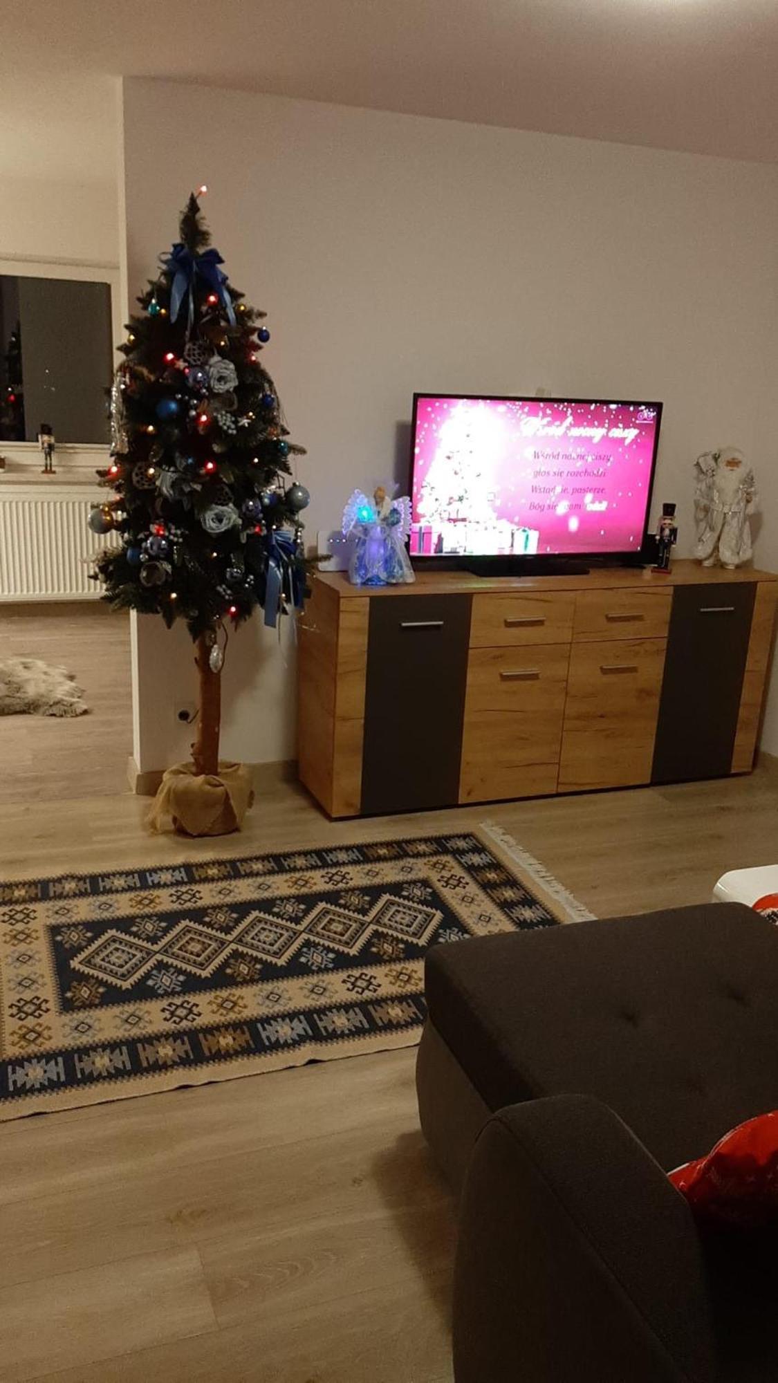 Apartamenty Z Widokiem 扎科帕内 外观 照片