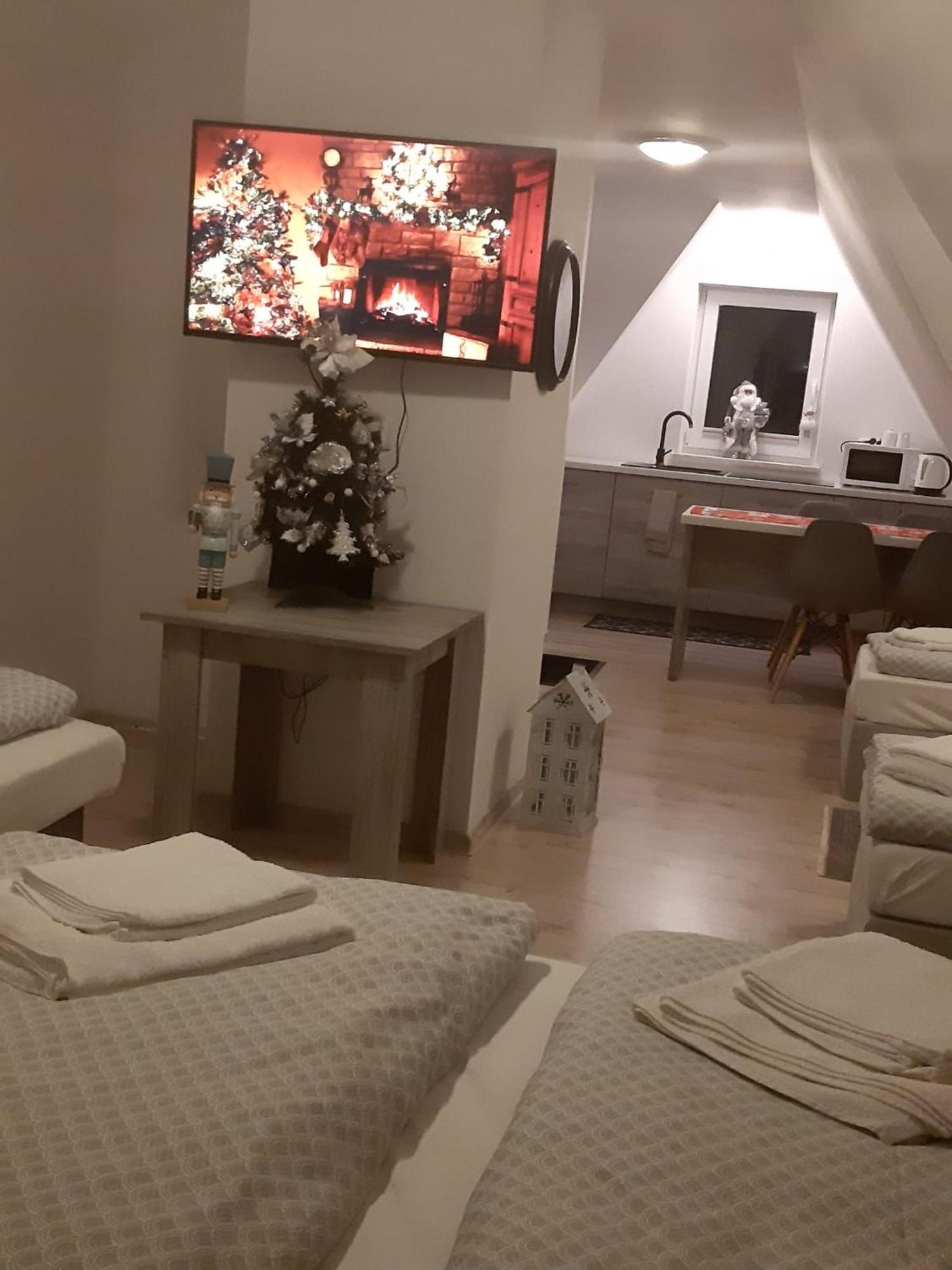 Apartamenty Z Widokiem 扎科帕内 外观 照片